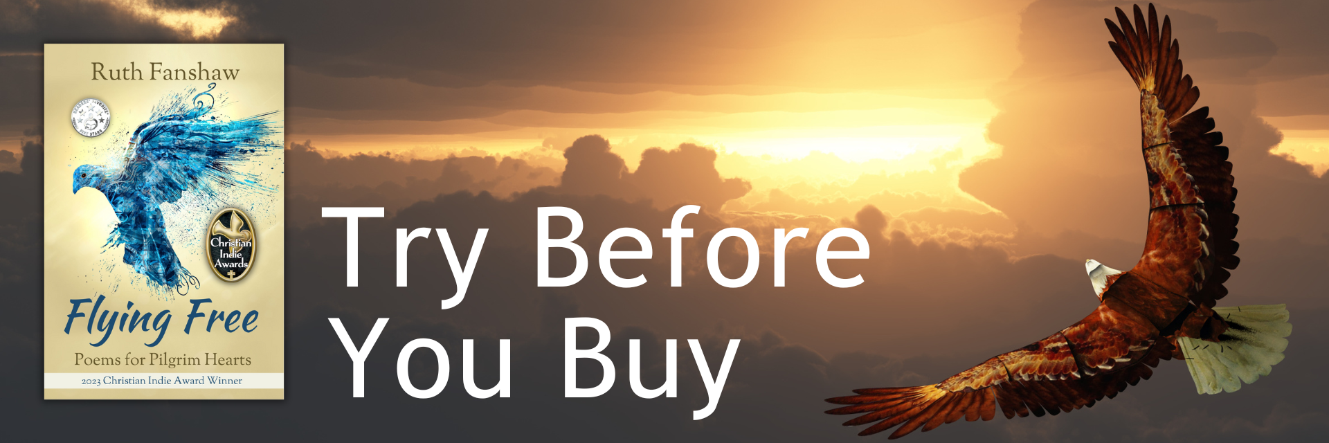 Image of an eagle flying towards a golden sunset, bearing the page title 'Try Before You Buy' and an inset image of the book cover of 'Flying Free'